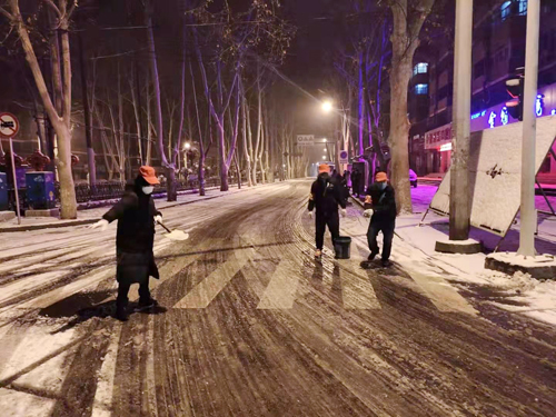 雪天里，洛陽公交人抗擊疫情的最美風景 